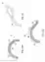 Fig. 22 - Base station, charging station, and/or server for robotic catheter systems and other uses, and improved articulated devices and systems