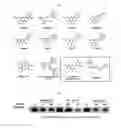 Fig. 04 - Soluble microneedle containing ingredient for controlling release of neurotransmitters