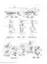 Fig. 10 - Device and method for positioning an electrode in tissue