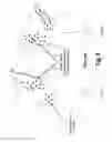 Fig. 04 - Apparatus and method for treating multiple tumors in patients with metastatic disease by electric fields