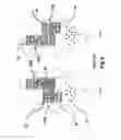 Fig. 07 - Apparatus and method for treating multiple tumors in patients with metastatic disease by electric fields