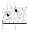 Fig. 08 - Apparatus and method for treating multiple tumors in patients with metastatic disease by electric fields