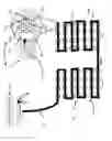 Fig. 11 - Apparatus and method for treating multiple tumors in patients with metastatic disease by electric fields