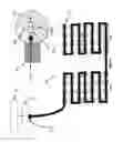 Fig. 16 - Apparatus and method for treating multiple tumors in patients with metastatic disease by electric fields