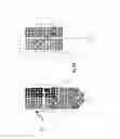 Fig. 20 - Apparatus and method for treating multiple tumors in patients with metastatic disease by electric fields