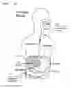 Fig. 15 - Device and implantation system for electrical stimulation of biological systems