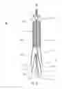 Fig. 09 - Brachytherapy Applicator