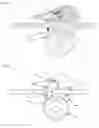 Fig. 10 - UNIVERSAL SPEED CONTROL SYSTEM FOR A WHEELED BOARD CONVEYANCE