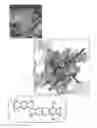 Fig. 07 - Polymeric materials for electrochemical cells and ion separation processes