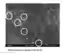 Fig. 01 - SINTERED COMPACT TARGET AND METHOD OF PRODUCING SINTERED COMPACT