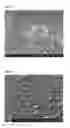 Fig. 02 - SINTERED COMPACT TARGET AND METHOD OF PRODUCING SINTERED COMPACT