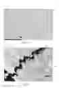 Fig. 02 - Grain boundary engineering for additive manufacturing