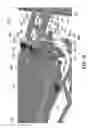 Fig. 43 - Method and apparatus for forming containers