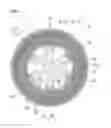 Fig. 03 - NON-PNEUMATIC TIRE