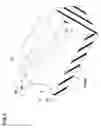 Fig. 05 - Pneumatic tire