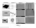 Fig. 05 - CONTROLLED-ORIENTATION FILMS AND NANOCOMPOSITES INCLUDING NANOTUBES OR OTHER NANOSTRUCTURES