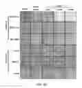 Fig. 09 - Inhibitors of the Notch transcriptional activation complex and methods for use of the same