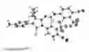 Fig. 02 - Diarylhydantoin Compounds