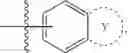 Fig. 06 - TGF-β inhibitorC