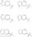 Fig. 41 - TGF-β inhibitorC