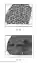 Fig. 04 - Crystalline form of nicotinamide riboside