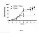 Fig. 07 - Bioactive peptides having insecticide activity