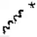 Fig. 02 - Immunomodulators