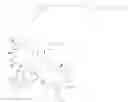 Fig. 149 - Immunomodulators