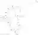 Fig. 331 - Immunomodulators