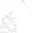 Fig. 362 - Immunomodulators
