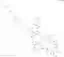Fig. 484 - Immunomodulators