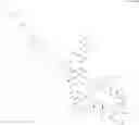 Fig. 486 - Immunomodulators