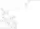 Fig. 85 - Immunomodulators