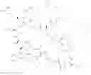 Fig. 89 - Immunomodulators