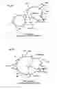 Fig. 02 - Proteins specific for pyoverdine and pyochelin