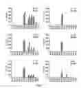 Fig. 02 - Myelin oligodendrocyte glycoprotein (MOG) peptide