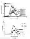 Fig. 07 - Myelin oligodendrocyte glycoprotein (MOG) peptide