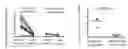 Fig. 01 - A SOLUBLE CHIMERIC INTERLEUKIN-10 RECEPTOR AND THERAPEUTIC USE THEREOF