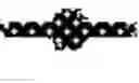 Fig. 05 - A SOLUBLE CHIMERIC INTERLEUKIN-10 RECEPTOR AND THERAPEUTIC USE THEREOF