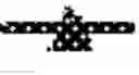 Fig. 07 - A SOLUBLE CHIMERIC INTERLEUKIN-10 RECEPTOR AND THERAPEUTIC USE THEREOF