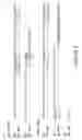 Fig. 03 - Antibody molecules to LAG-3 and uses thereof