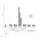 Fig. 12 - HLA-RESTRICTED EPITOPES ENCODED BY SOMATICALLY MUTATED GENES