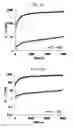 Fig. 09 - Photodegradable hydrogel, culture device, method for forming tissue, and method for separating cells