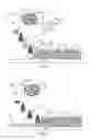 Fig. 03 - Non-Newtonian white inks