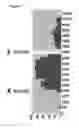 Fig. 06 - METHOD OF TARGET MOLECULE CHARACTERISATION USING A MOLECULAR PORE