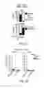 Fig. 08 - Compositions and methods for XI chromosome reactivation