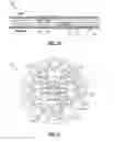 Fig. 08 - Smart yarn and method for manufacturing a yarn containing an electronic device