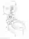 Fig. 01 - Toilet coupling