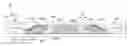 Fig. 01 - Downhole packer element with propped element spacer