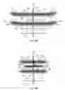 Fig. 05 - Fluid injection process for hydrocarbon recovery from a subsurface formation